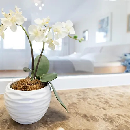 Haus Eva Mar Am 1 * Timmendorfer Strand